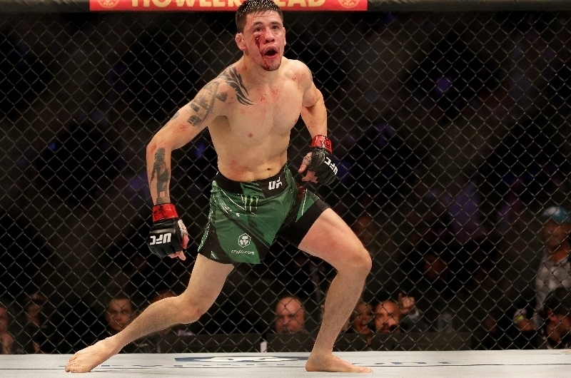 UFC Fight Night Moreno vs Erceg Stream Available Free Online