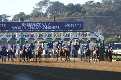 2025 Breeders' Cup Day 1 Tips - Best bets for the Five Grade Ones at Del Mar
