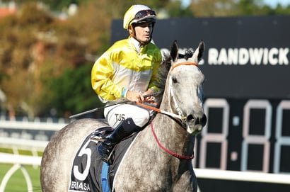 All Aged Stakes 2025 Tips & Video Preview - Briasa to streak to victory at Randwick