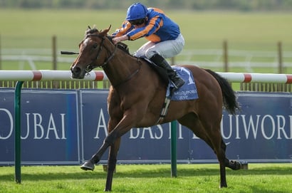 bubbling newmarket