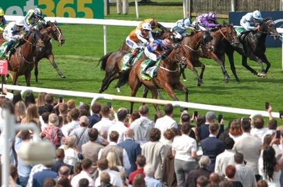 bunbury cup