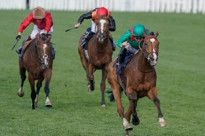 2025 Coronation Cup Odds - Calandagan dominates Epsom market