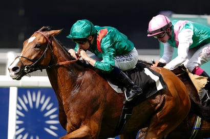 calandagan ascot