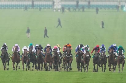 cambridgeshire handicap newmarket