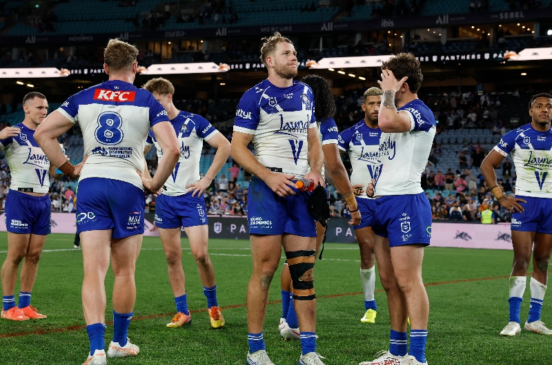 canterbury bulldogs