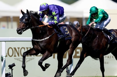 2025 St Leger Tips - Can Twomey's star take down the Ballyboyle battalion? 