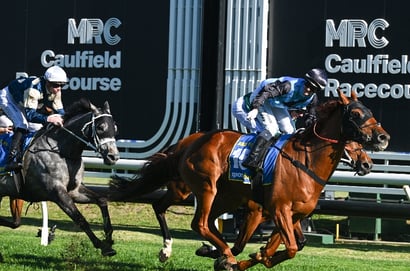 caulfield cup noms