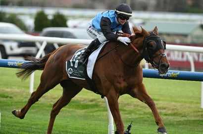 Caulfield Cup 2025 - Barrier Draw & Final Field