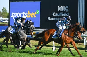 Loading