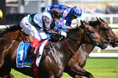 C F Orr Stakes Tips - Familiar name to fire over the 1400m at Caulfield in the Group 1 C F Orr Stakes