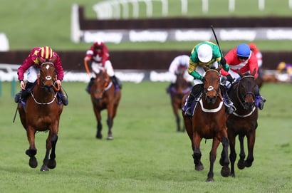 champ RSA cheltenham