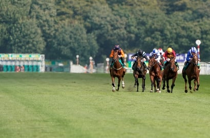 champagne stakes doncaster