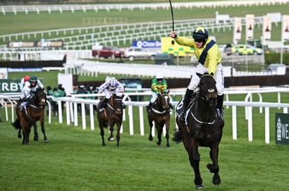 2026 Champion Chase Live Stream - Watch the Cheltenham Festival race online