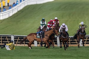 2026 Champion Hurdle Live Stream - Watch the Cheltenham Festival race online