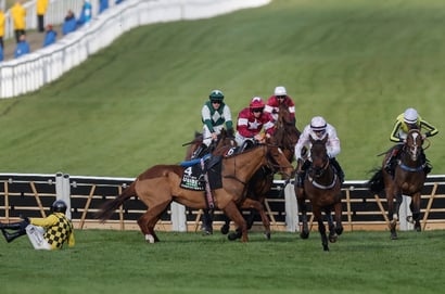 2026 Champion Hurdle Live Stream - Watch the Cheltenham Festival race online