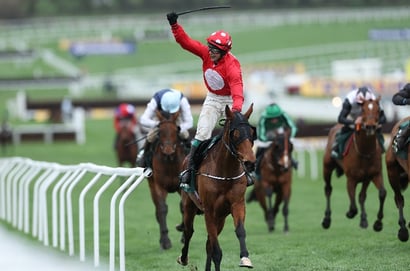 Stayers' Hurdle Result 2026 - Home By The Lee makes it fifth time lucky at Cheltenham