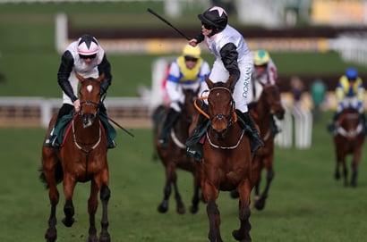 cheltenham