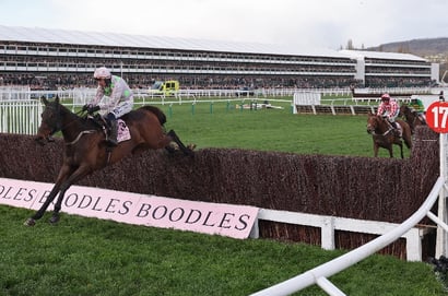 cheltenham
