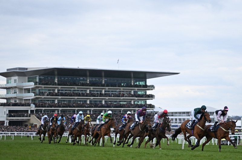 Cheltenham 2026 News | Assessing The Irish Entrants