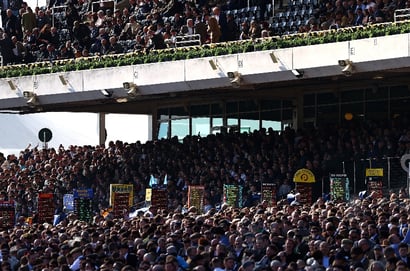 cheltenham bookmaker