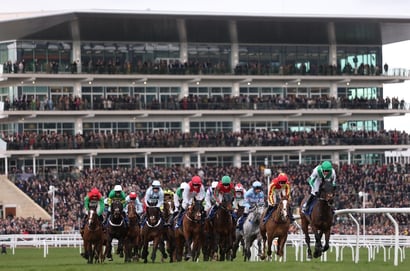 cheltenham festival hurdle
