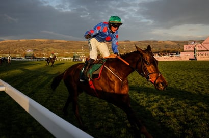 cheltenham festival racing