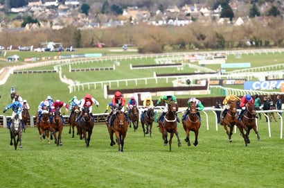 cheltenham festival wednesday