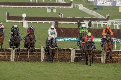 cheltenham january hurdle