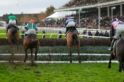 cheltenham november