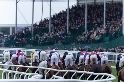 cheltenham plate