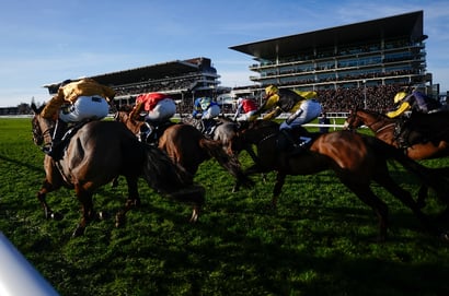cheltenham races