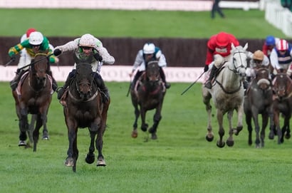 cheltenham races