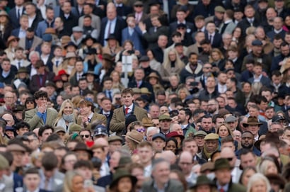 cheltenham stand