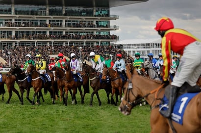 cheltenham start