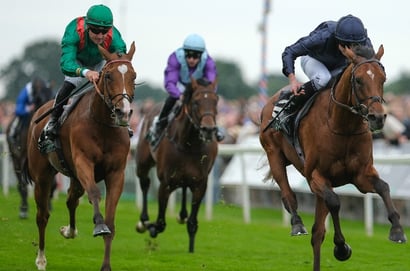 2025 Coronation Cup Tips - French star poised for breakthrough Group One win