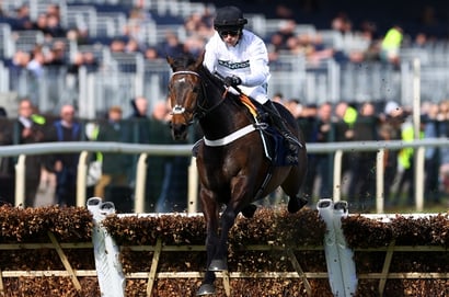 Bet365 Super Boost - Get 7/4 on Constitution Hill to win the Aintree Hurdle