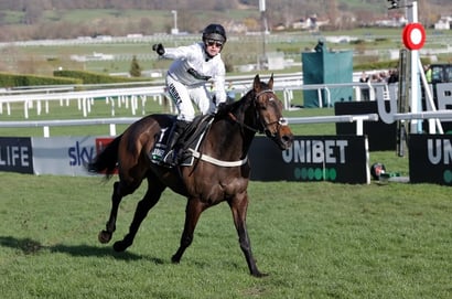constitution hill cheltenham