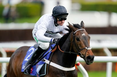 "He leaves the jumping world sound" - Constitution Hill to remain on the flat