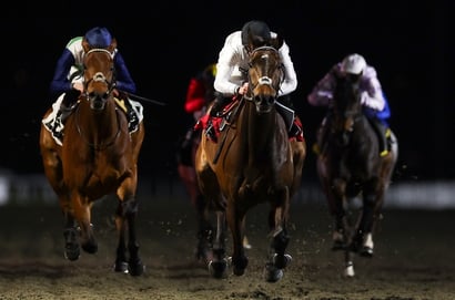 Bet365 Super Boost - Get boosted odds on Constitution Hill to finish Top 3 at Kempton