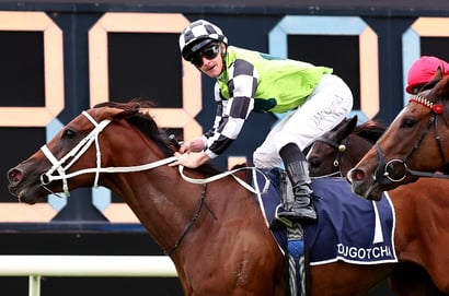 Coolmore Classic Tips - Can they catch Lady Shenandoah in the Coolmore Classic for the fillies and mares?