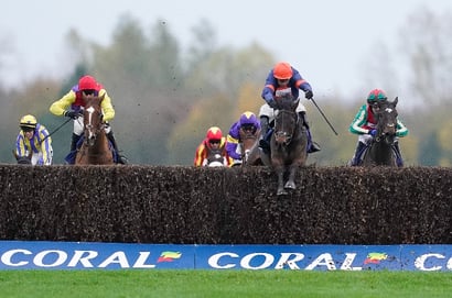 2025 Coral Gold Cup Tips - Early 20/1 selection for Newbury's big handicap