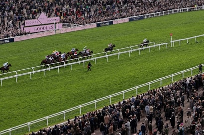 2026 Cheltenham Festival Recap - Five eye-catchers to keep on-side
