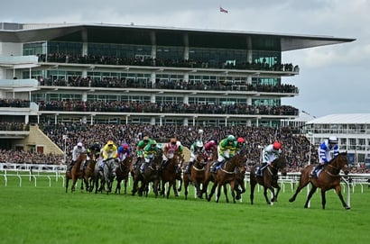 county hurdle cheltenham