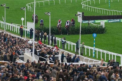 cross country chase cheltenham