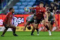 crusaders rugby