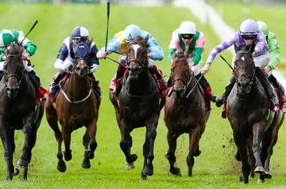 curragh