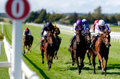 Curragh Tips for May 24th - Irish 1000 Guineas Day Selections