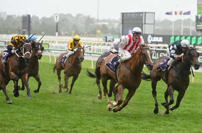 Grab $3.50 for any of Beiwacht, Baraqiel or Giga Kick to win the Black Caviar Lightning