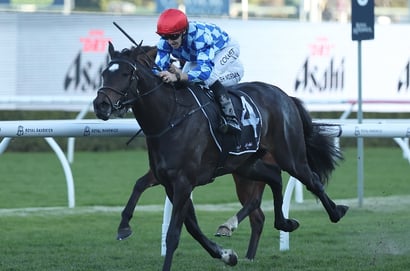 Get $2.50 for either Oh Diamond Lil or Verona Rose to Win the Inglis Bracelet