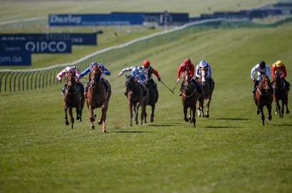 dahlia stakes